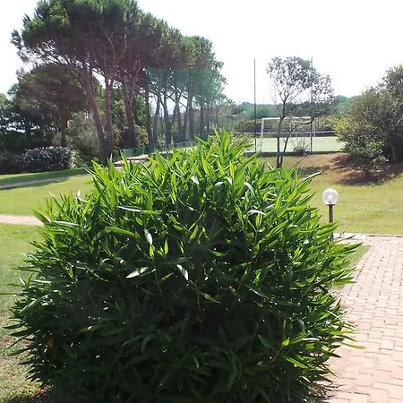 Sottomonte